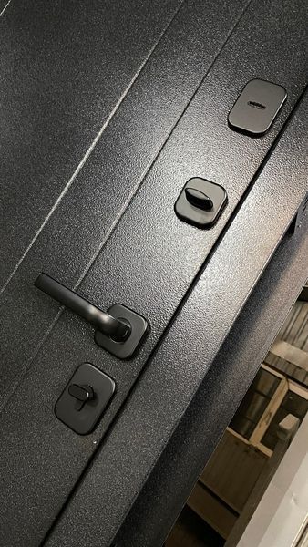 Двері вхідні метал дві сторони БЦ ДІБРОВА 860 ДІБРОВА 860 фото