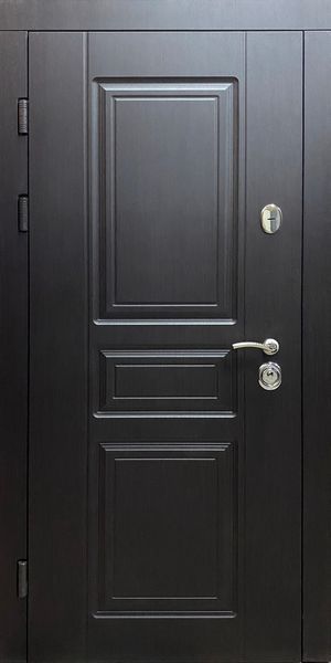 Вхідні двері  Provence ELIT 960  RF-ELP-960 фото